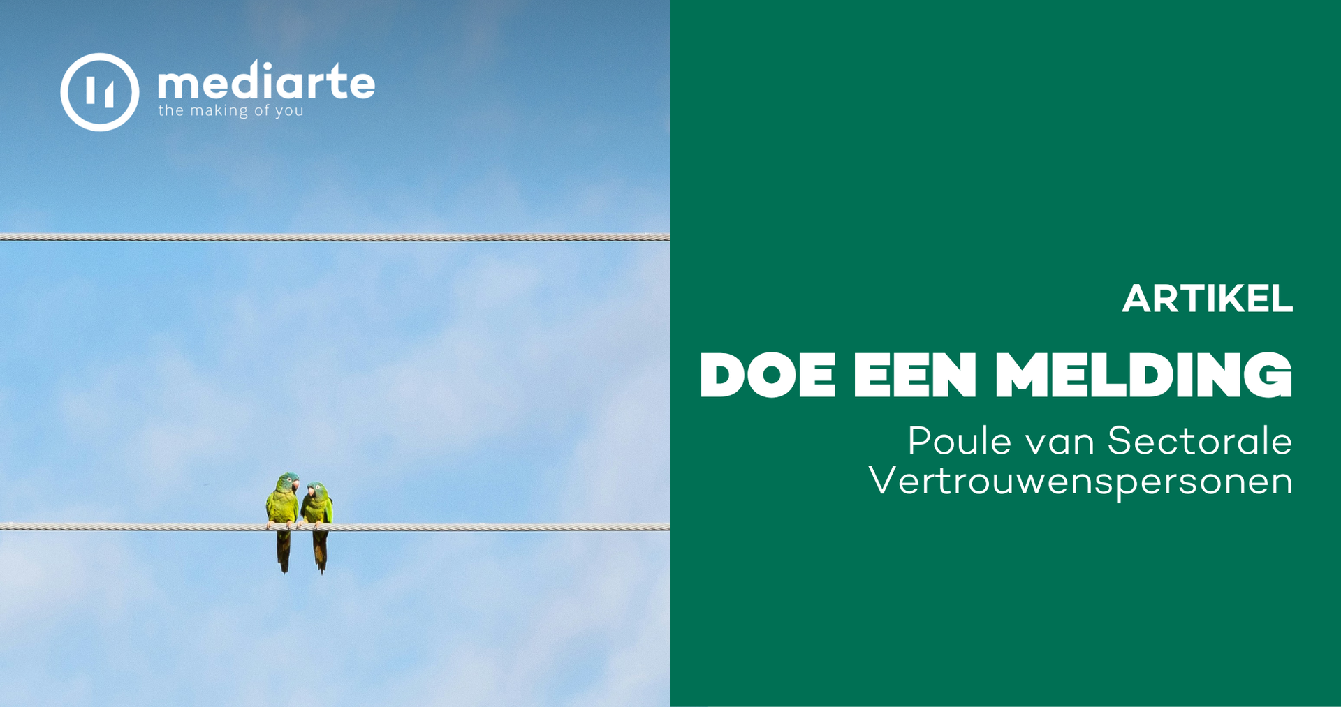 Poule "doe een melding", links foto met papegaaien 