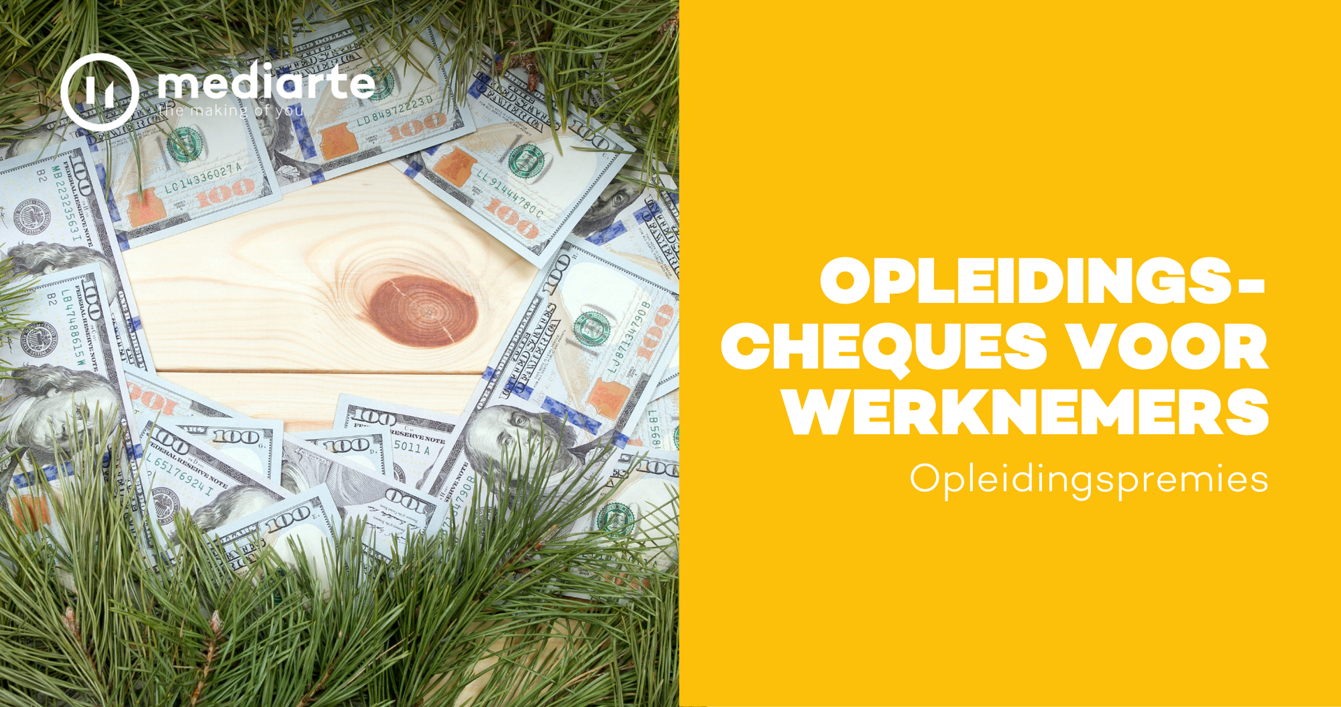 Opleidingscheques