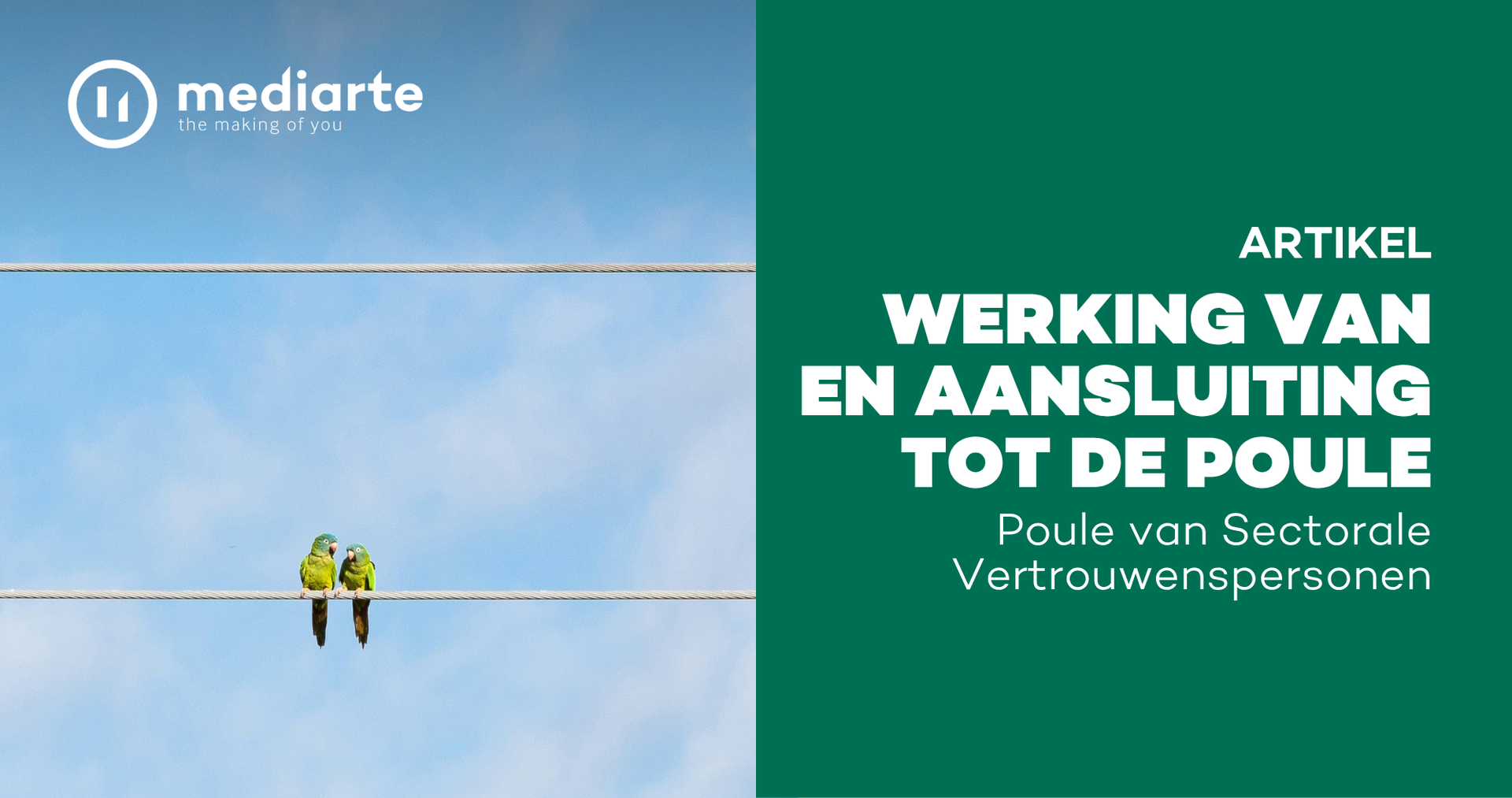 Poule: afbeelding rechts met twee papegaaien op een draad 