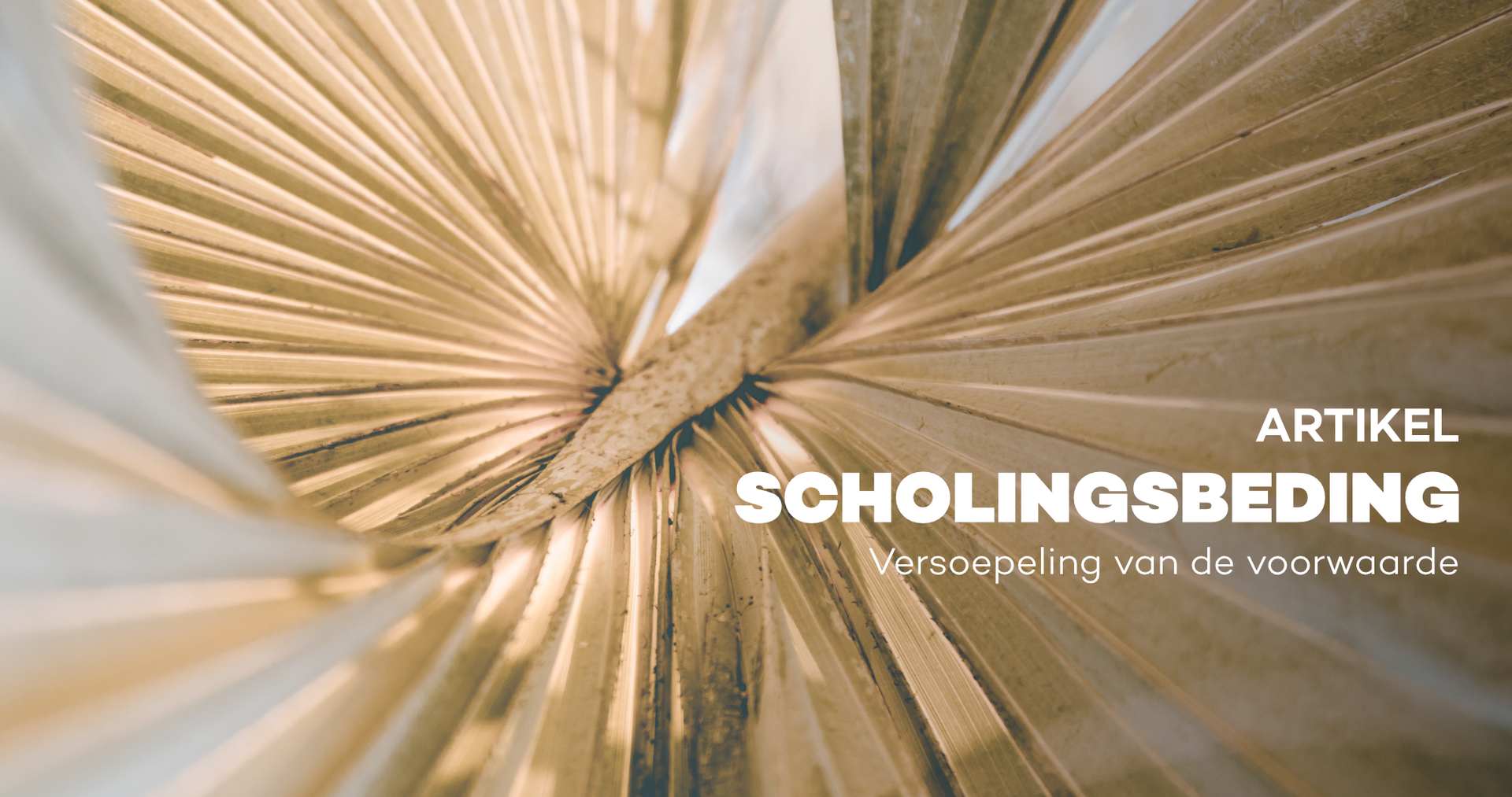 Scholingsbeding