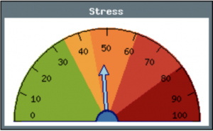 stress test