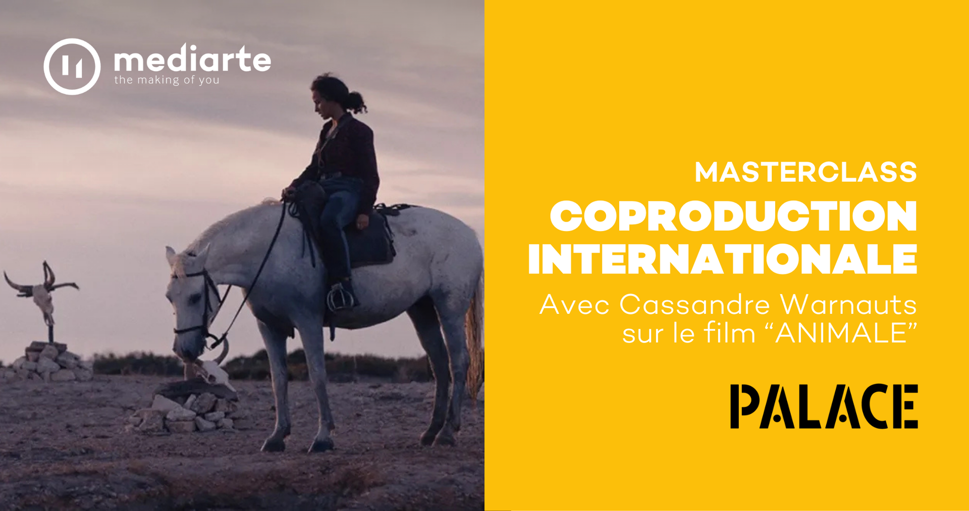 Masterclass : Coproduction internationale sur le film "ANIMALE"