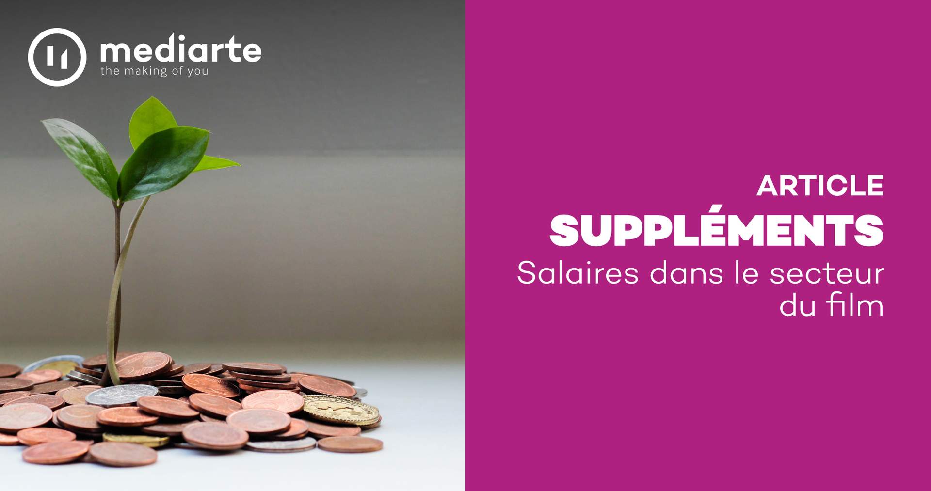 supplément