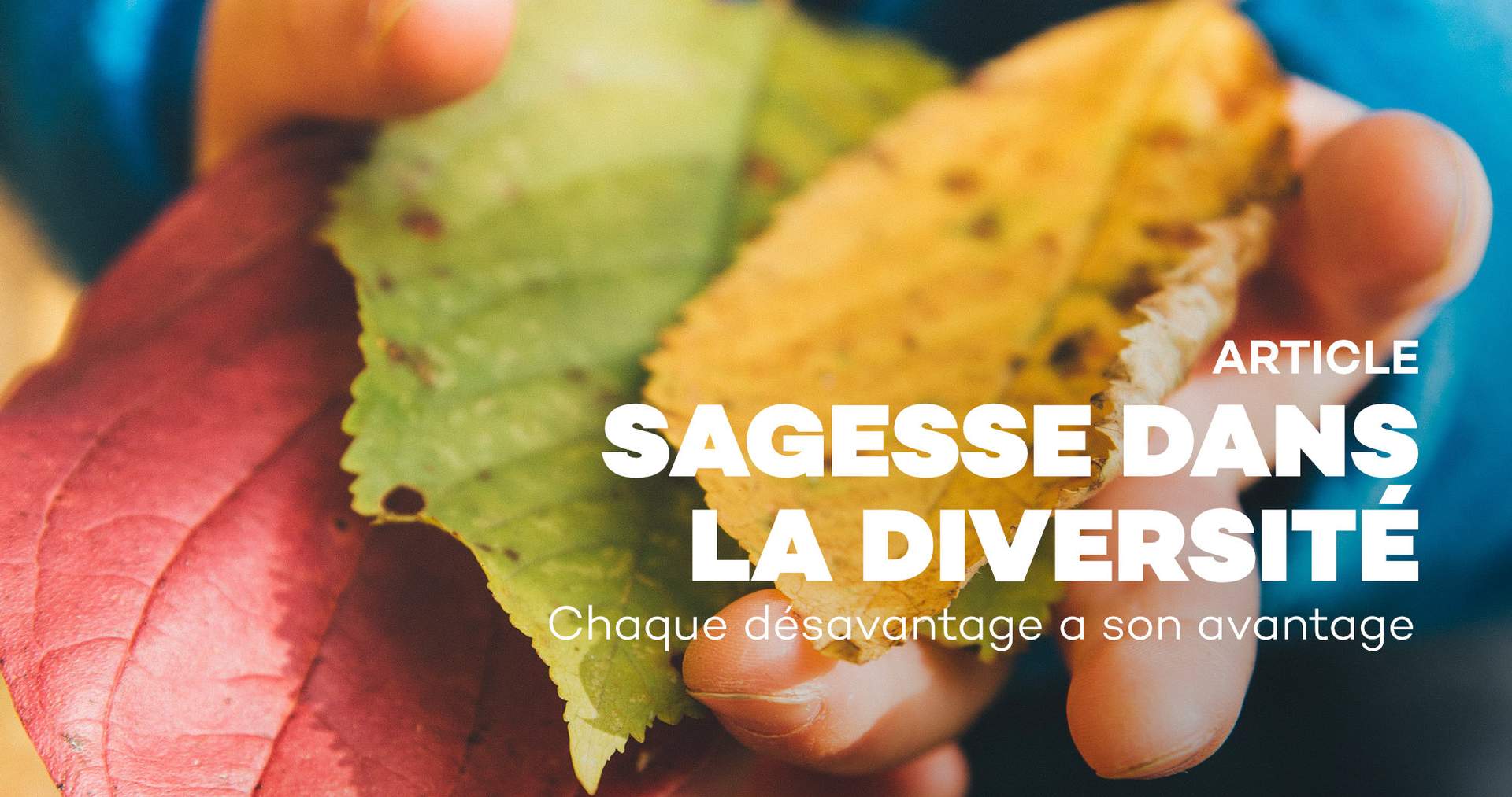 Sagesse dans la diversité