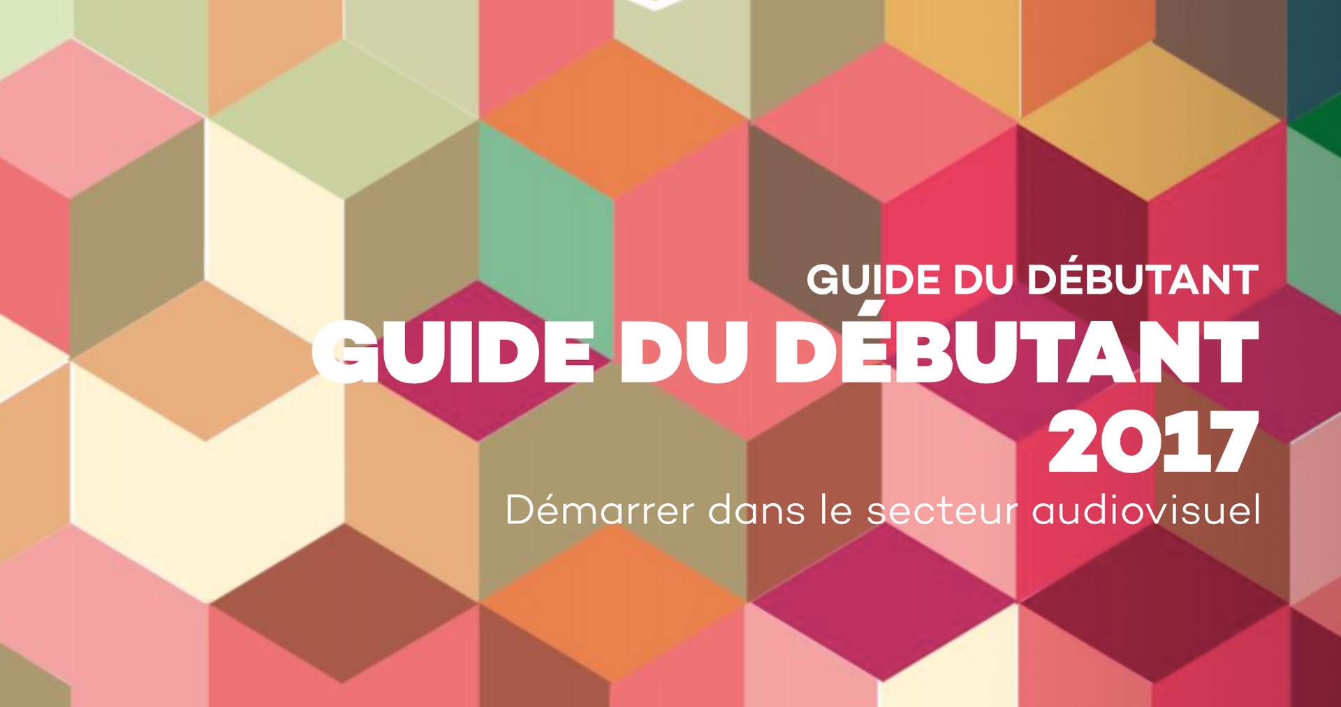 Guide du débutant 2017