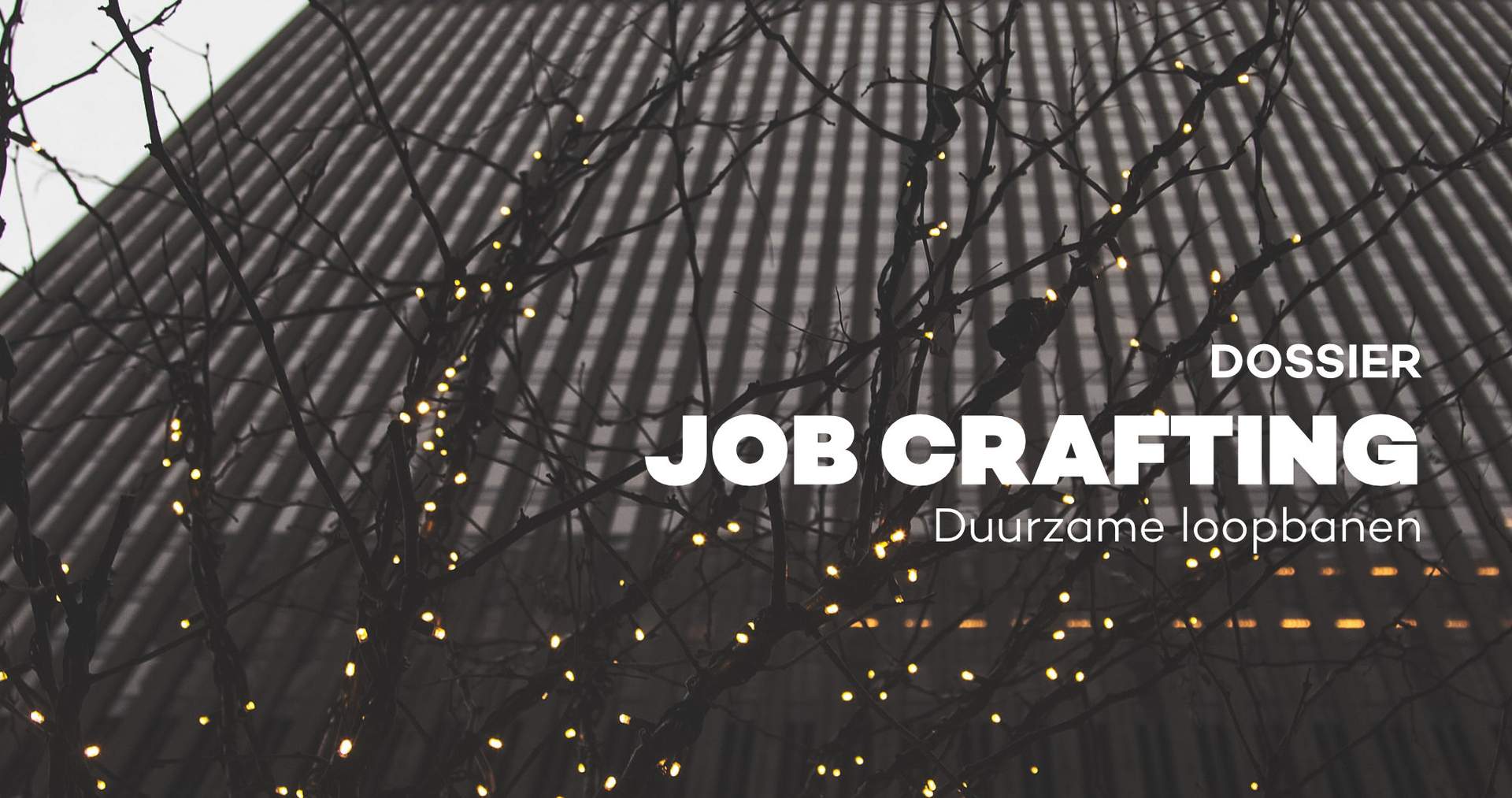 Job crafting. Maak van de job die je hebt, de job die je wil!