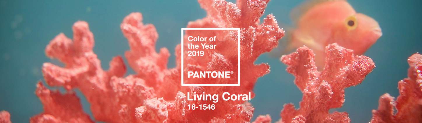 Pantone color of the year