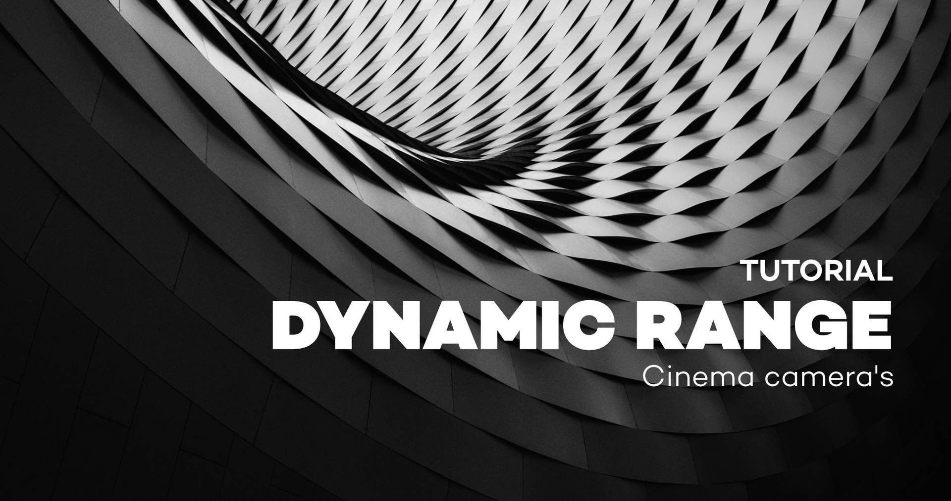 Cinema Cameras Dynamic Range