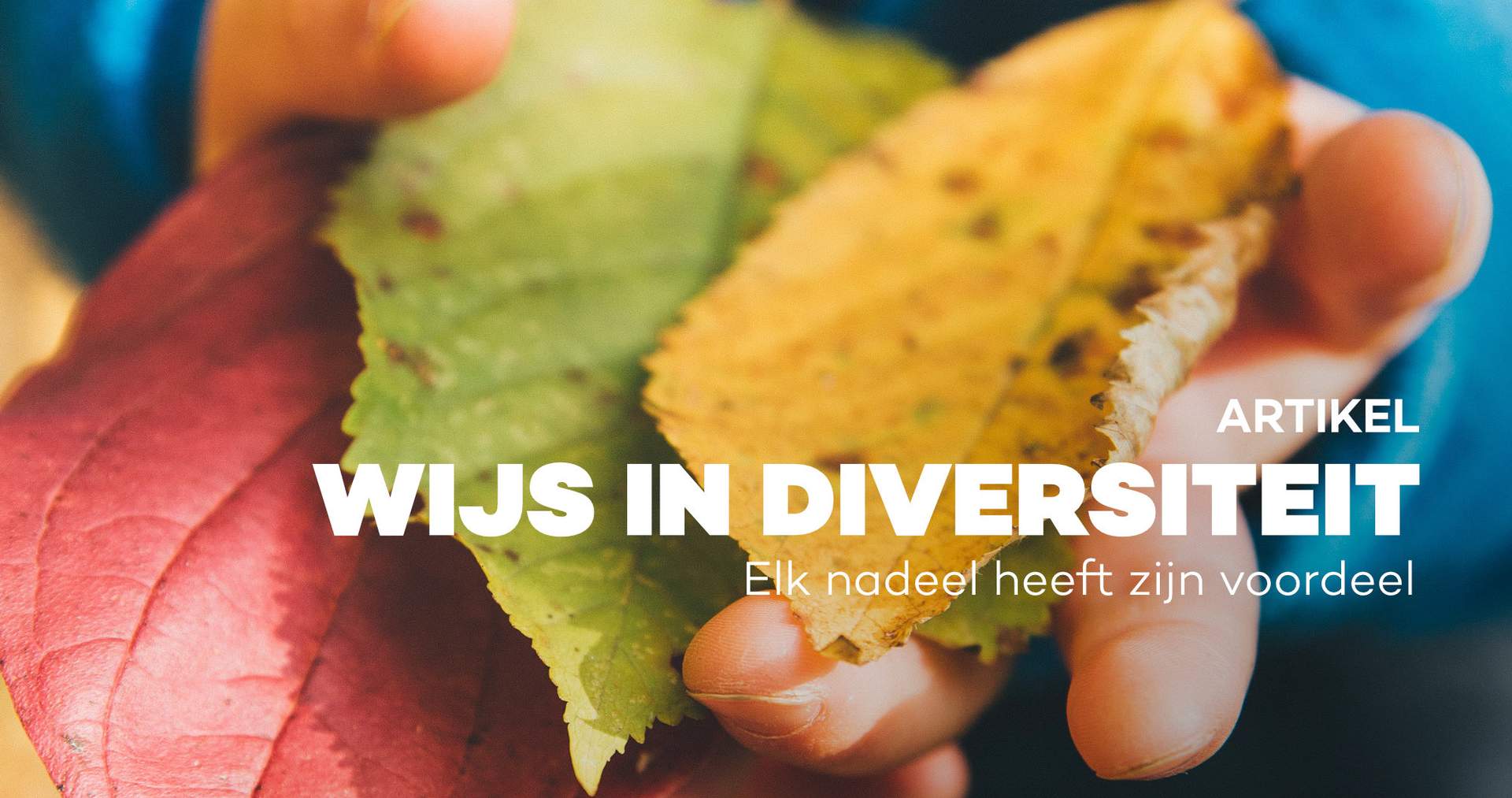 Wijs in diversiteit