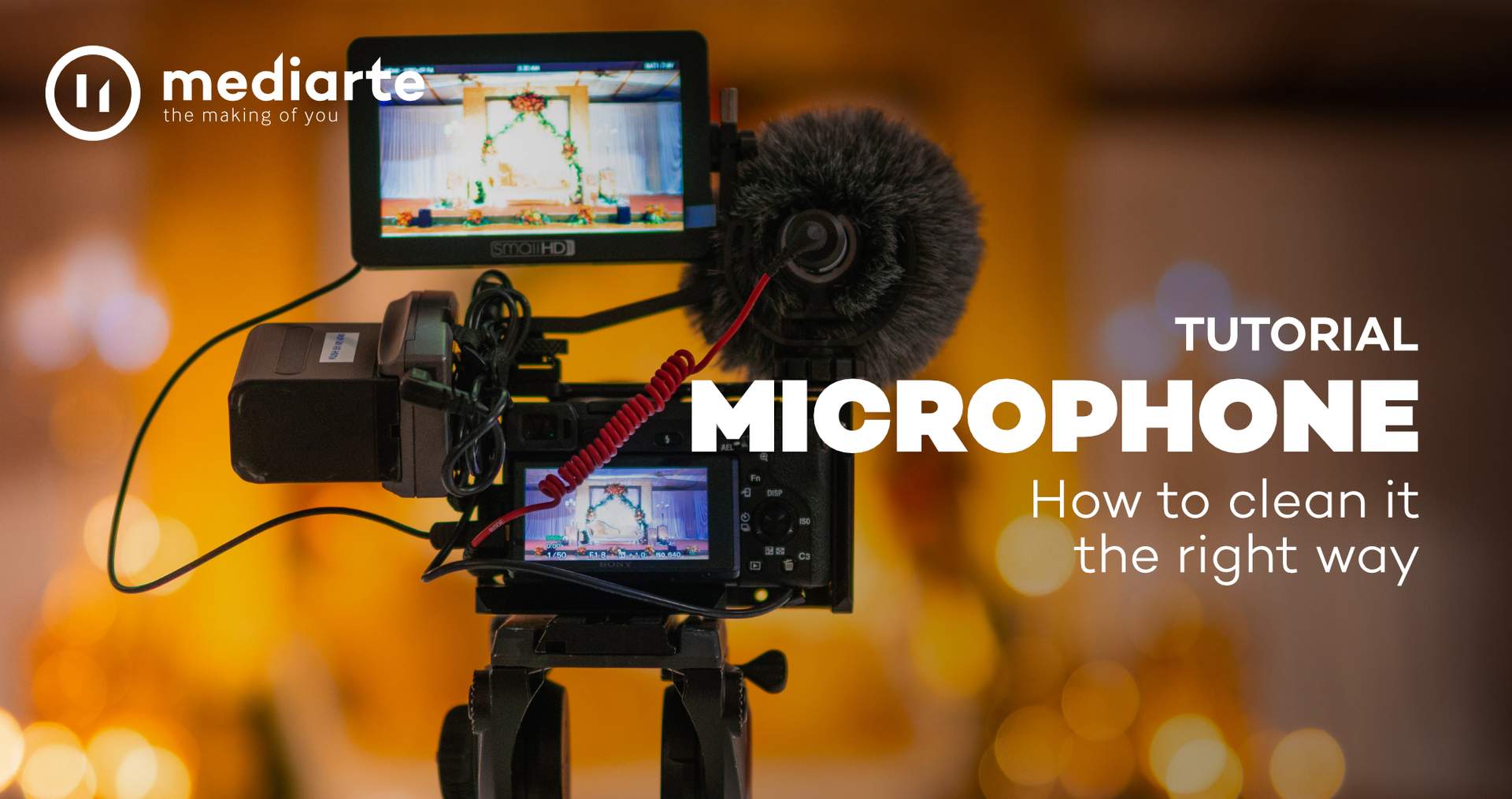 How to Clean Your Microphone Gear the Right Way mediarte
